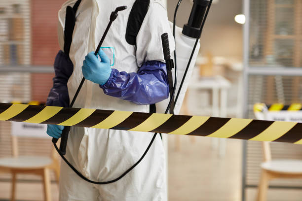 Professional Sewage Cleanup technician working in Nelsonville, WI